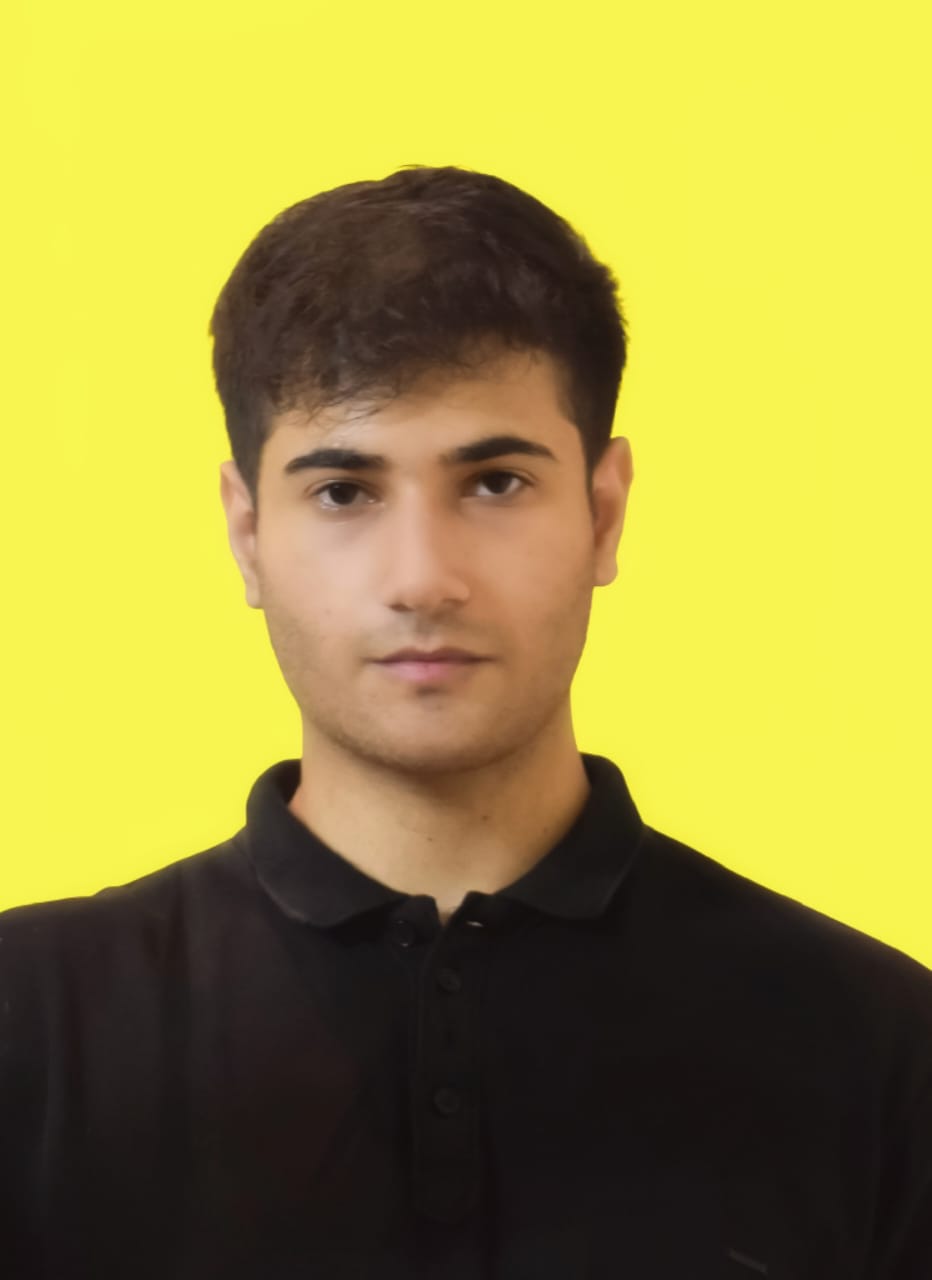 Muhammad Hammad Javaid